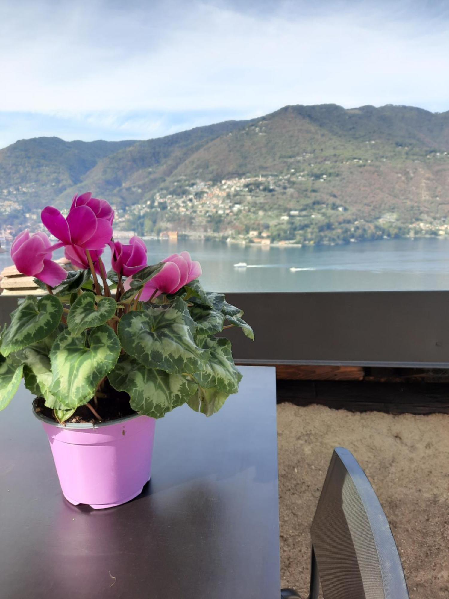 Luxury Room La Terrazza Sul Lago Di Como Blevio Exteriér fotografie